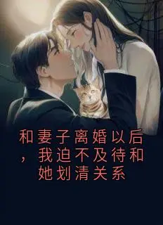 《和妻子离婚以后，我迫不及待和她划清关系》方夏韩霜大结局在线阅读